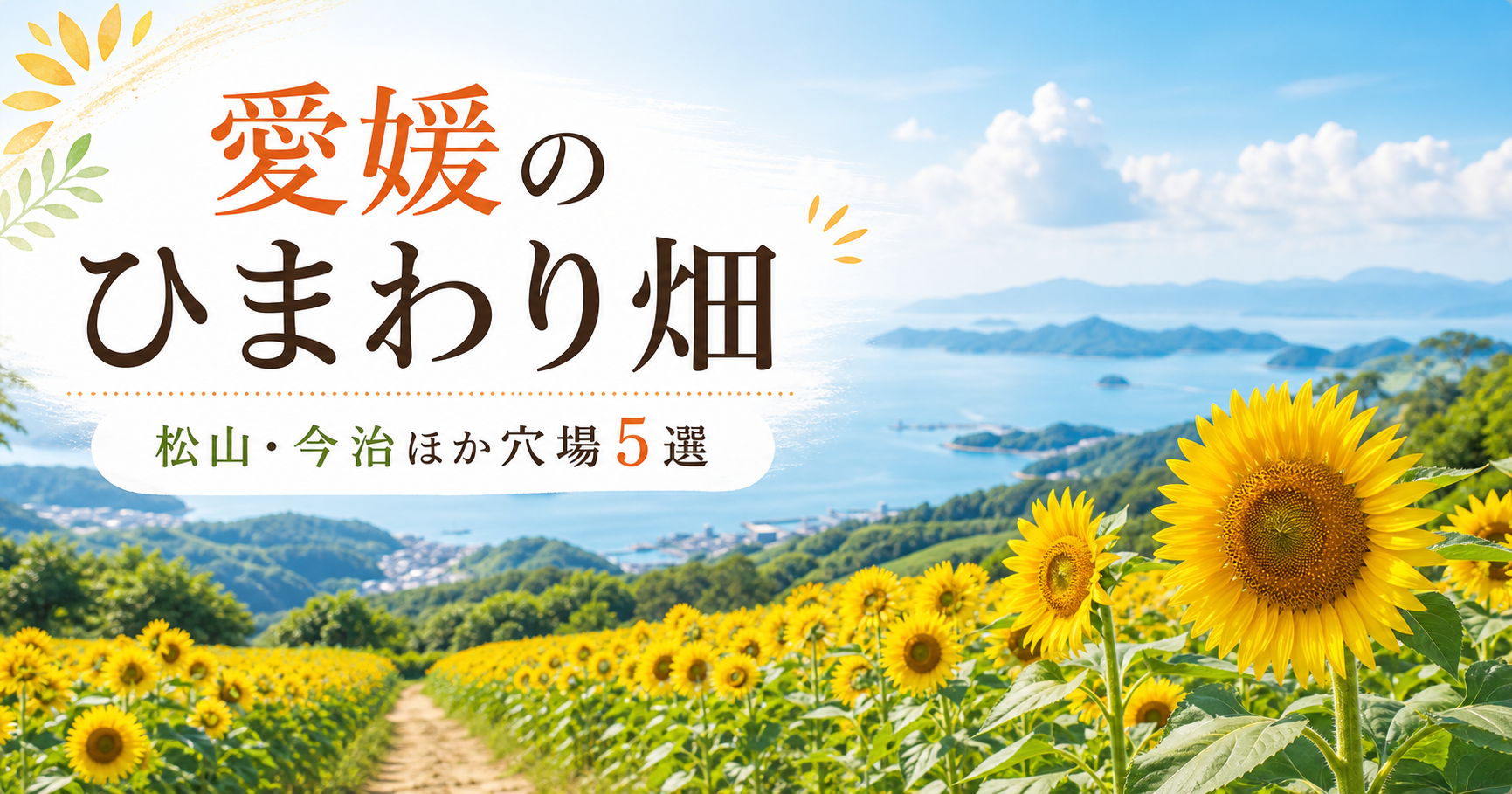 愛媛のひまわり穴|松山・今治ほか穴場5選 愛媛ひまわり