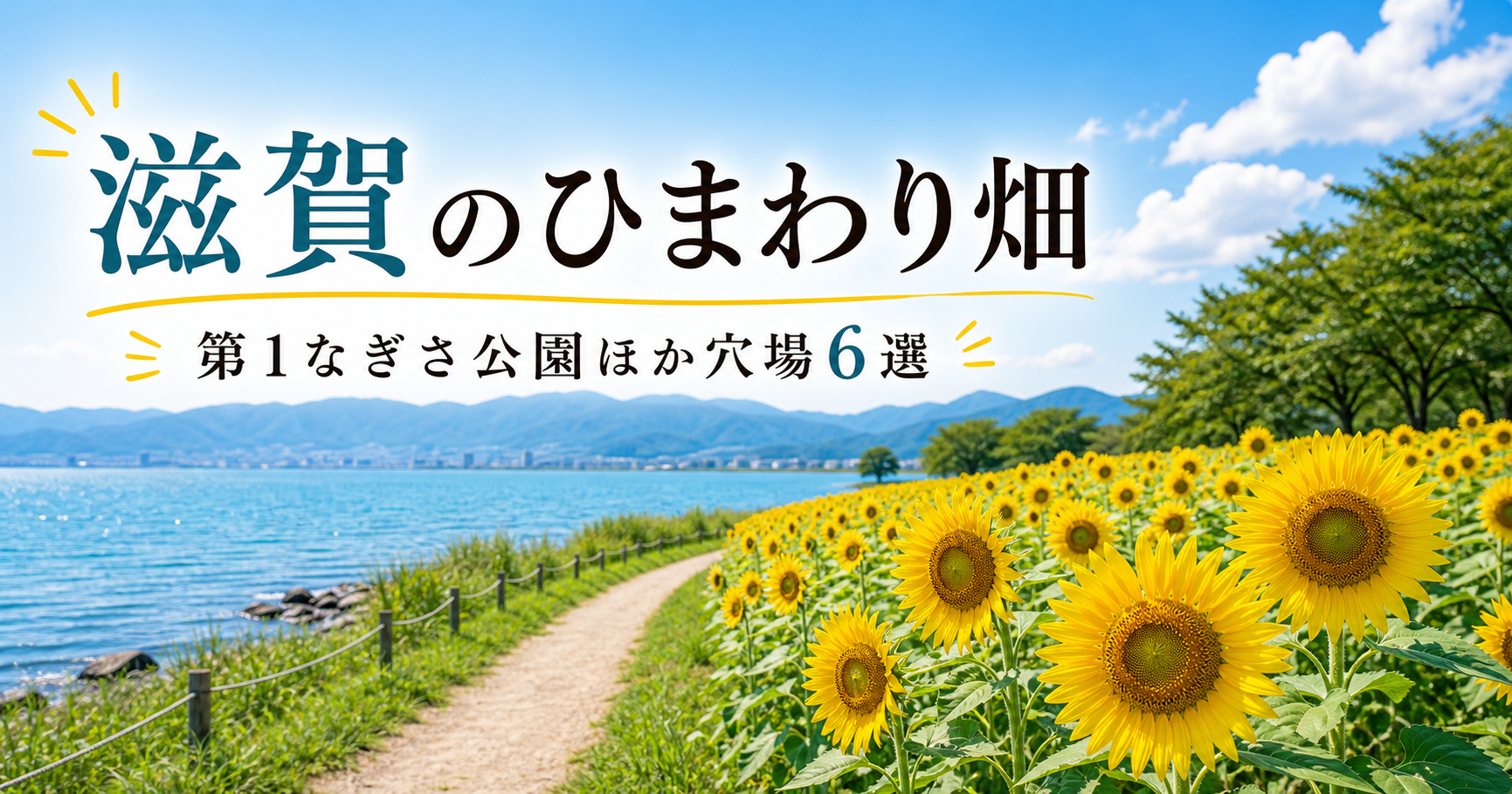 滋賀のひまわり畑|第1なぎさ公園ほか穴場6選 滋賀ひまわり
