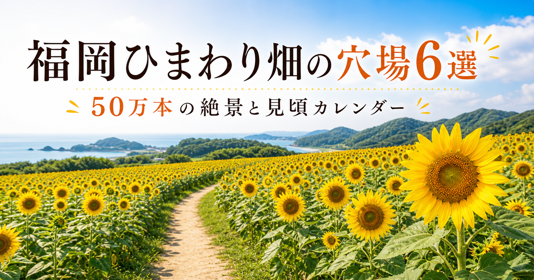 福岡ひまわり畑の穴場6選|50万本の絶景と見頃カレンダー 福岡ひまわり