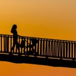 baby-stroller-rental