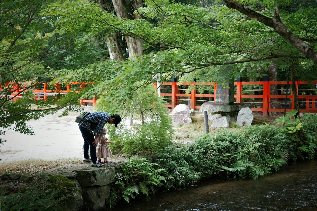 計算式と相続人別の早見表