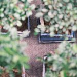 観葉植物の処分方法｜枯れた・大きすぎる鉢植えの捨て方と注意点