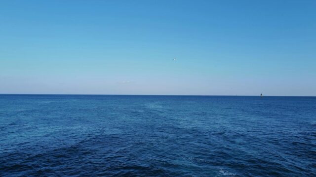 散骨の手続きと流れ｜必要な準備・法律のルール・費用と注意点