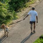 生活習慣の見直し方｜シニアが健康と暮らしを整えるためのコツ