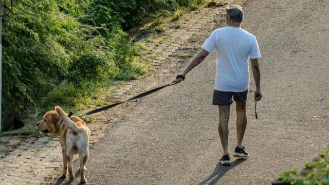生活習慣の見直し方｜シニアが健康と暮らしを整えるためのコツ