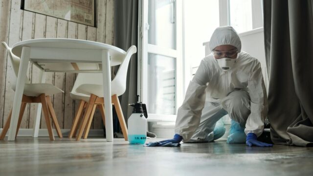 特殊清掃の費用相場｜間取り別の目安と内訳・誰が払うのかを解説