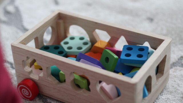 木のおもちゃのおすすめは？｜月齢別の選び方と定番ブランド